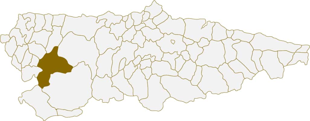 Situación del concejo de Allande en Asturias