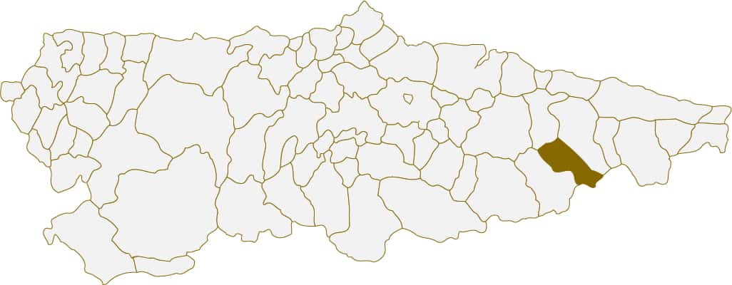 Situación del concejo de Amieva en Asturias