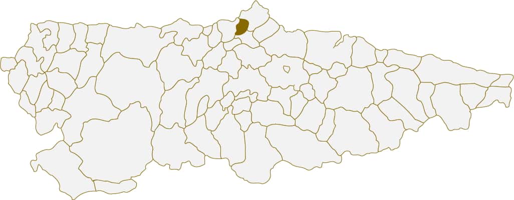 Situación del concejo de Avilés en Asturias