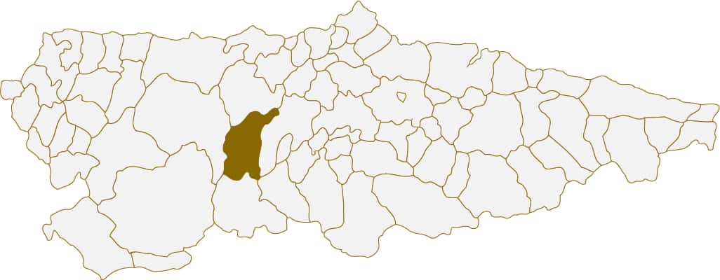 Situación del concejo de Belmonte de Miranda en Asturias