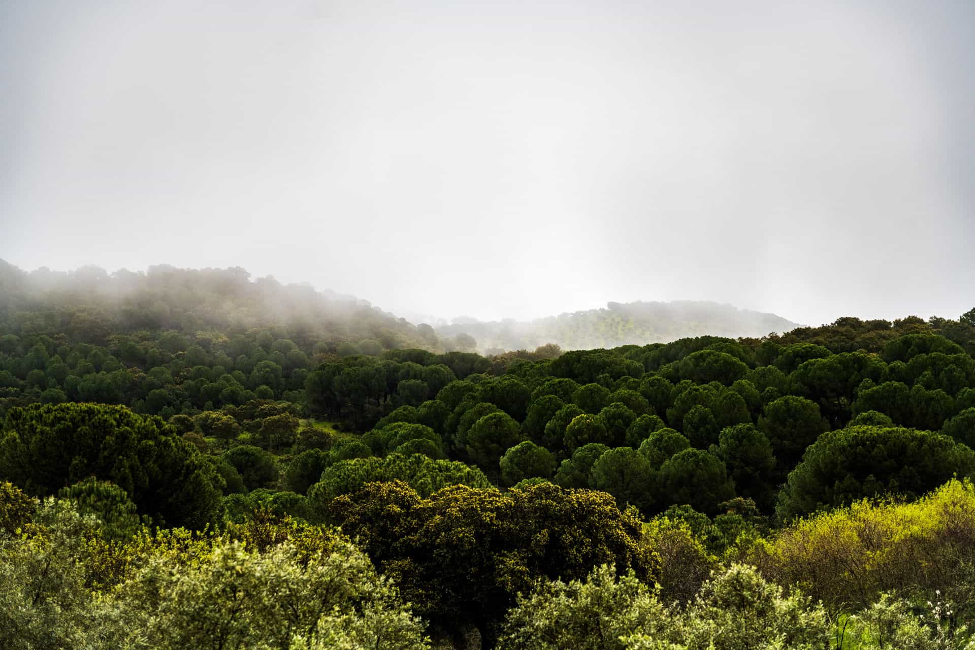 Rally Andalucía - Sierra Morena - Córdoba Patrimonio de la Humanidad
