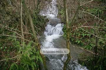 Santibañez de Murias