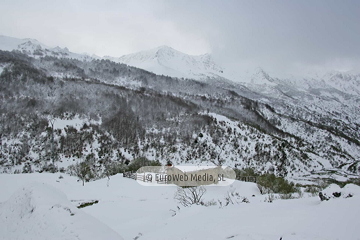 Puerto San Isidro