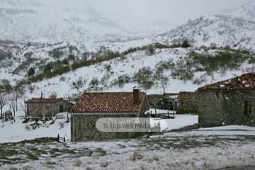 Collainos