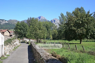 Las Arenas