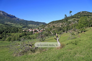 Las Arenas