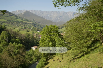 Las Arenas