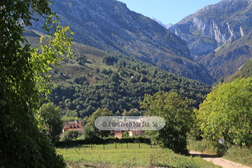 Las Arenas