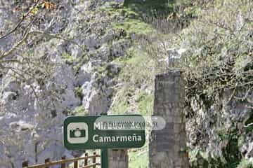 Camarmeña