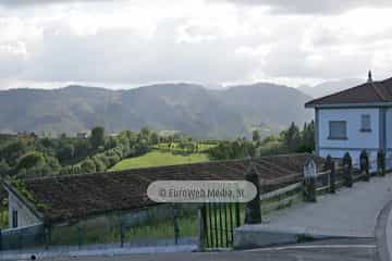Torazo
