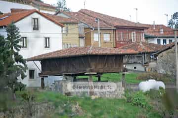 Torazo