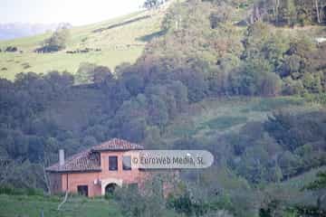 Torazo