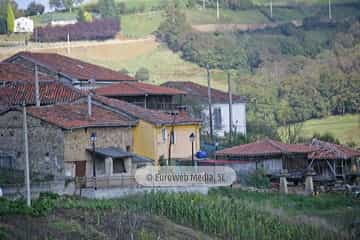 Torazo