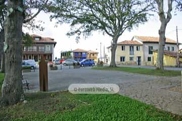 Torazo