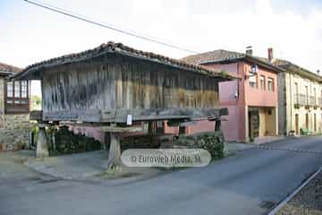 Torazo