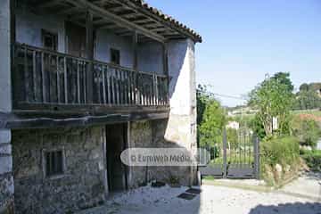 Torazo