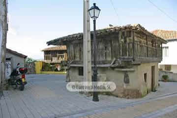 Torazo