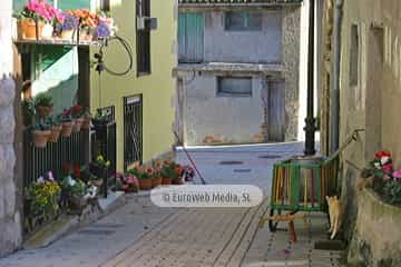 Torazo