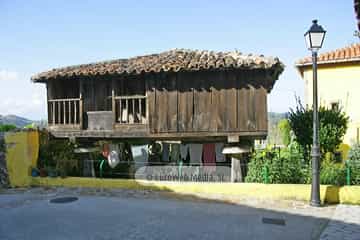 Torazo
