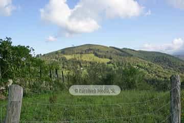 Torazo