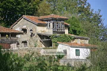 Torazo