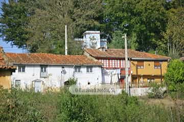Torazo