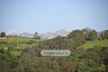 Torazo