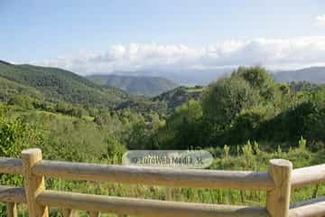 Torazo