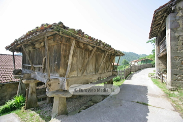 Govezanes