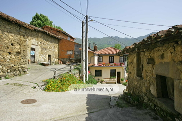 Govezanes