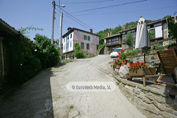 Govezanes