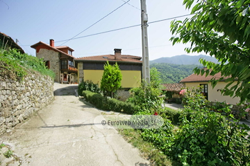 Govezanes
