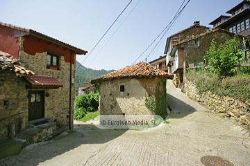 Govezanes