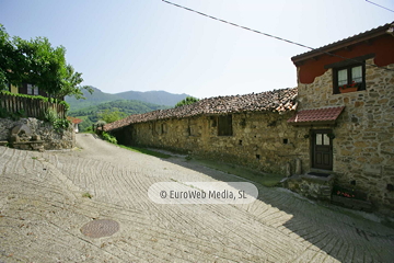 Govezanes