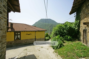 Govezanes