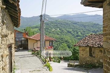 Govezanes