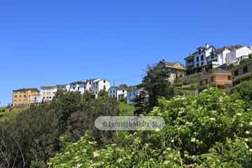 Viavelez