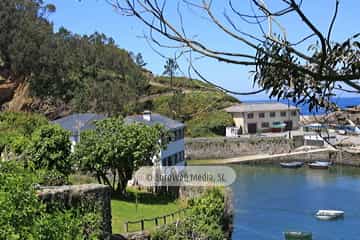 Viavelez