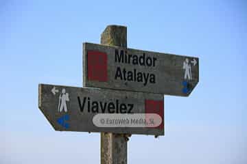 Viavelez