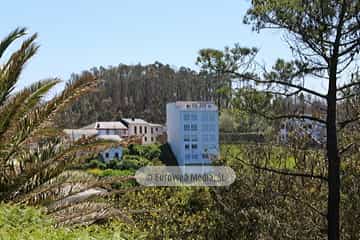 Viavelez