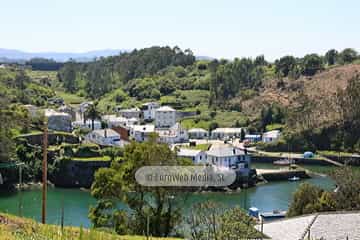 Viavelez