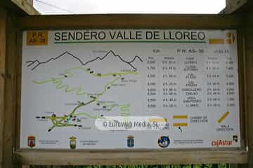 Loredo