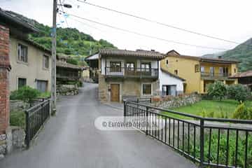 Loredo