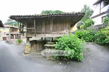 Loredo