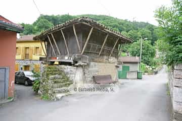 Loredo