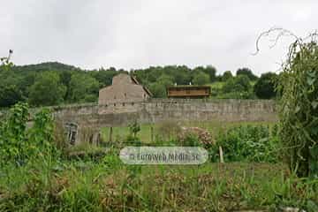 Loredo