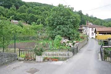 Loredo