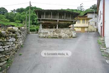 Loredo