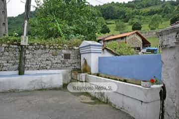 Loredo
