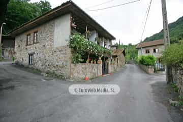 Loredo